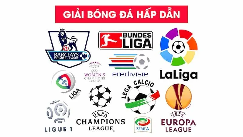 lịch thi đấu Những giải đấu có lịch được cung cấp tại website